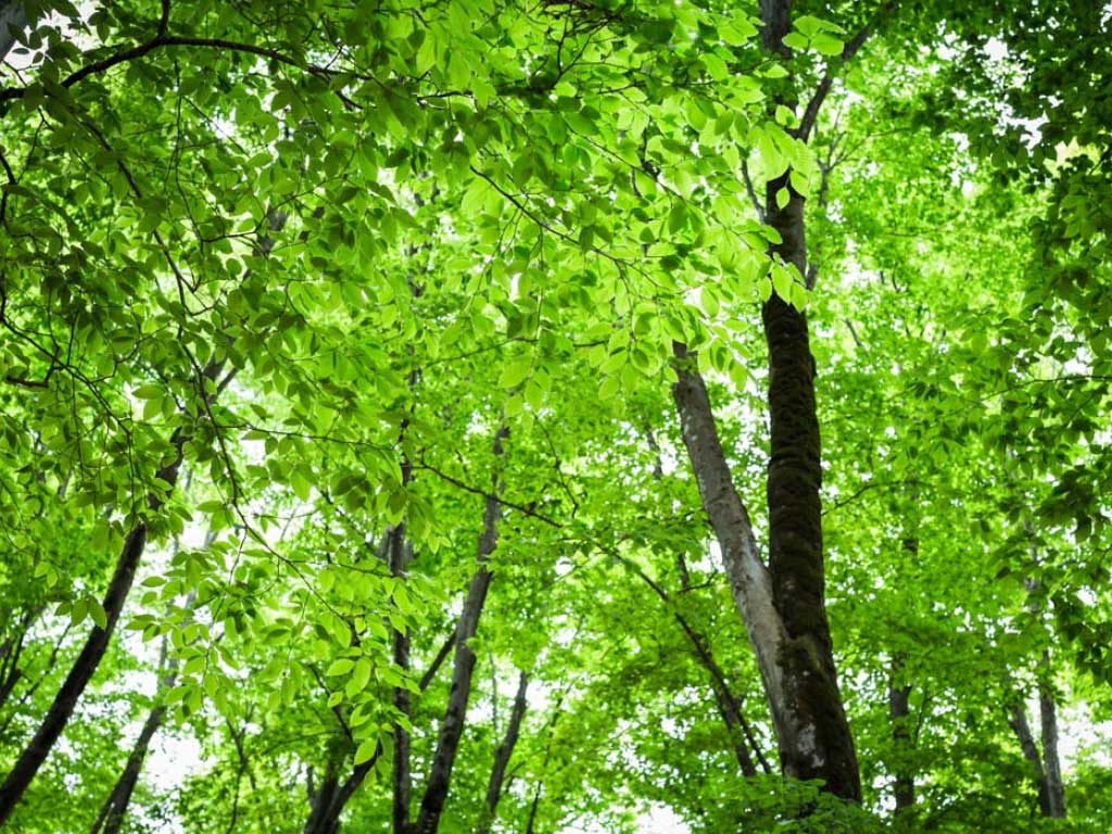 パッケージプラン