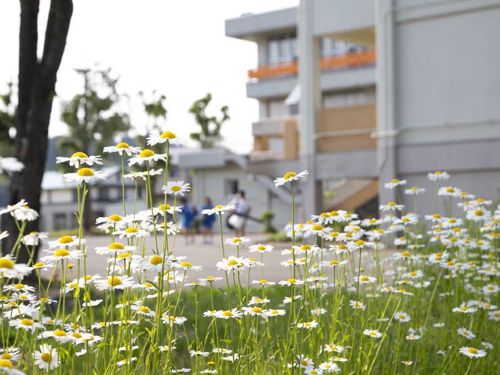 保育園・学校様向け